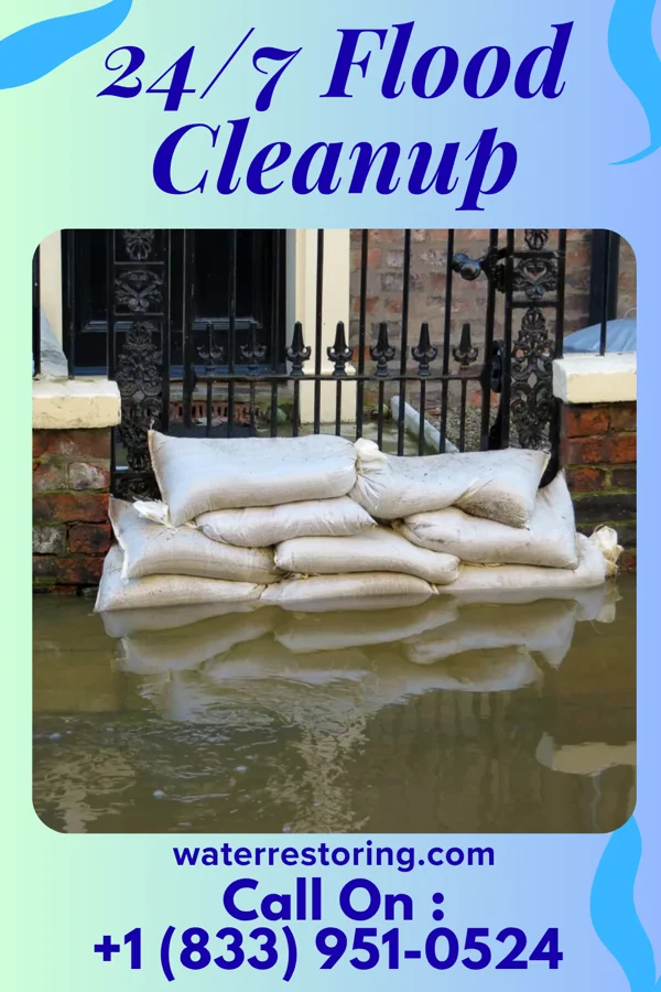 24/7 Flood Cleanup in Pine Hill, NJ