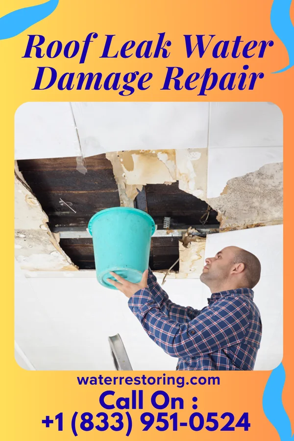 Roof Leak Water Damage Repair in Pine Hill, NJ