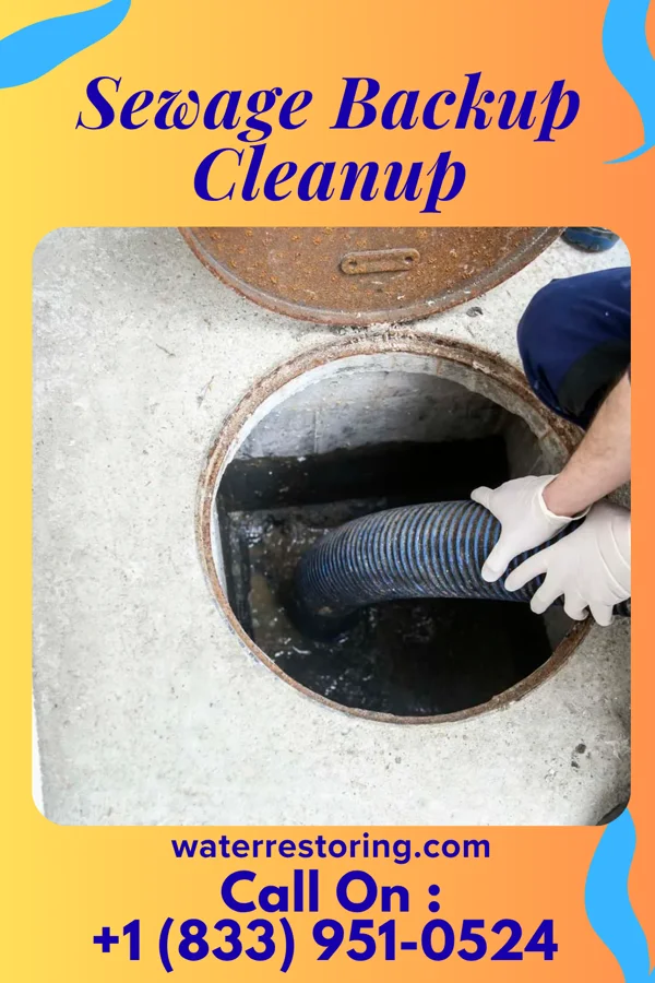 Sewage Backup Cleanup in Pine Hill, NJ