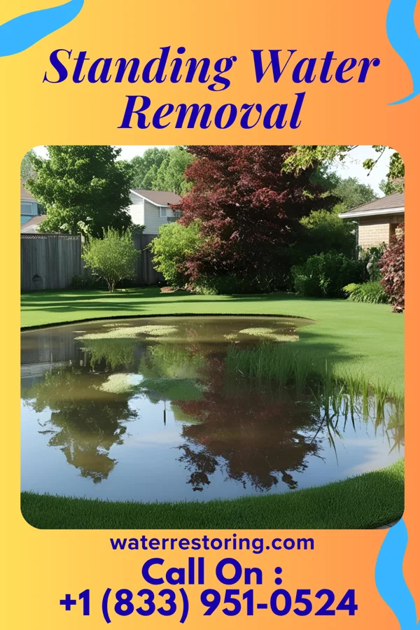 Standing Water Removal in Pine Hill, NJ